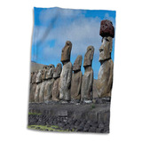 3d Rose Chile-isla De Pascua-hanga Rapa Nui Np-moai Con Toal