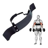 Soporte Para Trabajo De Bíceps Sport Fitness 