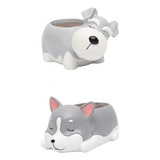 A 2pcs Cão Desenhos Animados Animal Cacto Suculento Vaso De
