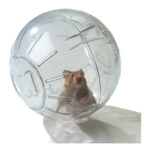 Bola De Exercícios Globo Para Hamster Ginástica 