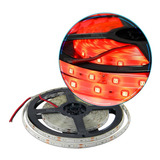 Tira Led 3528 / 2835 Exterior 5metros 300 Colores Oferta