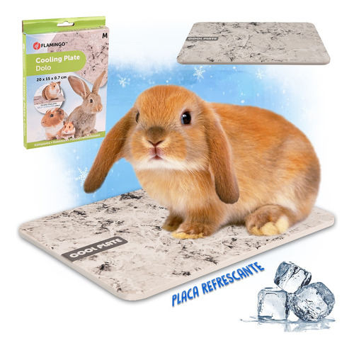 Piedra Refrescante Conejos Chinchillas Cobayo Verano M 20x15