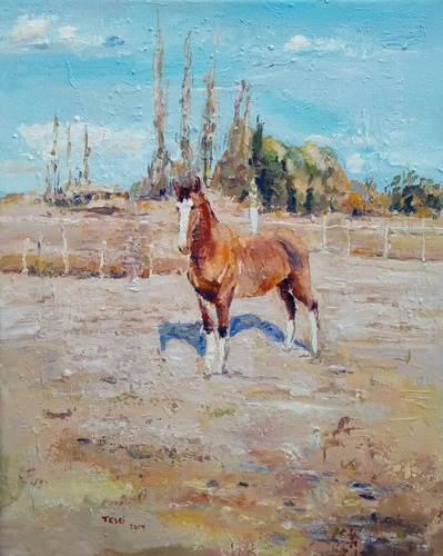 Cuadros Caballos 50x40 Rios Paisajes Pintado A Mano 14