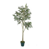 Árbol De Ficus Artificial 168cm