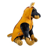 Roupa Esquilo Para Cachorro Roupinha Pet Tamanho G