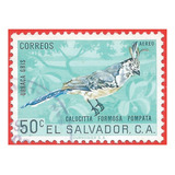 1963. Estampilla Urraca Gris, El Salvador. Slg1