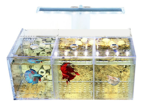 Juego De Pecera A9aquarium Led Acrílico Betta Para Escritori