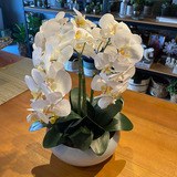 Arranjo Grande Centro Mesa 3 Orquídeas Branca 3d Vaso Branco