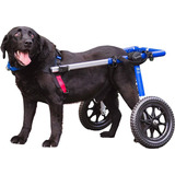 Silla De Ruedas Para Perros Grandes 22 A 80 Kg A Pedido