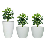 Jogo 3 Vasos Grande Decor Luxo Plantas Casa Jardim Varanda