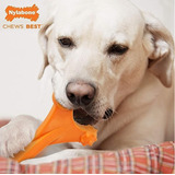 Juguete Nylabone Durachew Big Chew Axis Bone