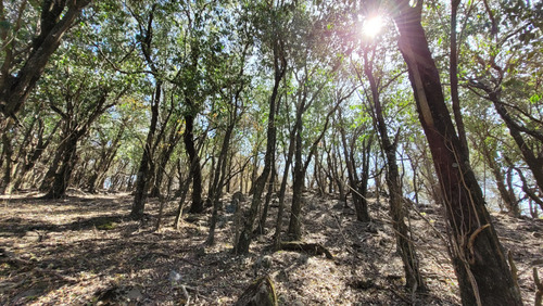 Venta De Terreno Campo En Las Sierras De Cordoba Unquillo  Argentina