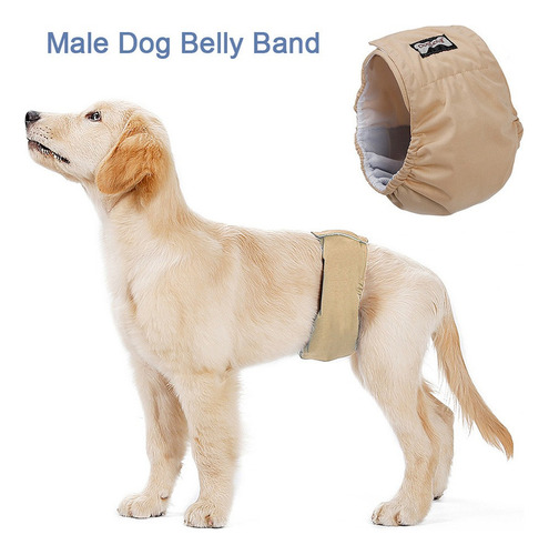 Pañal De Perro Macho Para El Vientre De Mascota, Lavable, Xs