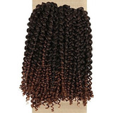 Lady Miranda Ombre Color Afro Kinky Trenza Rizada Extensione