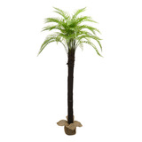 Árvore Planta Palmeira Samambaiaçu Grande 36 Folhas 230cm
