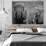 Elefantes De Frente Cuadro Canvas C/marco Flotante 100x140cm