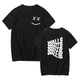 Camiseta Camisa Louis Tomlinson Walls Music Álbum Vl