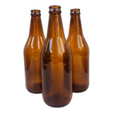 Envases Botella Cerveza Artesanal  Vidrio 500 Cm3 X 20 Unid 