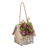 Sedum Y Eucalipto En Canasta Colgante Birdhouse