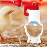 20pcs Alimentador Automático De Pollo Pezones Dispen De Agua