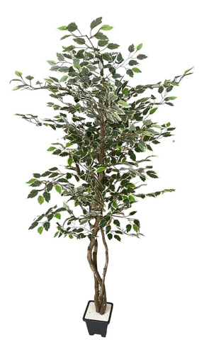 Árvore Artificial Ficus Variegata Planta Decorativa 1.80m