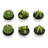 24 Piezas Velas Decorativas Cactus Y Suculentas