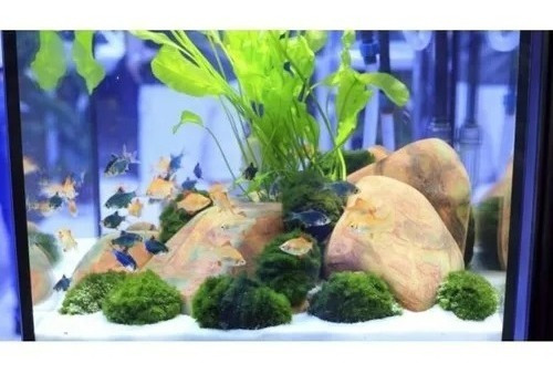 Sustrato Acuario Arena Silice 2.5 Kg  Plantado Discos Peces