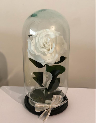Rosa Eterna Premium ( Color A Elegir ) Forever Bloom