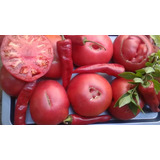 Oferta!! 40 Semillas Tomate Rosado 