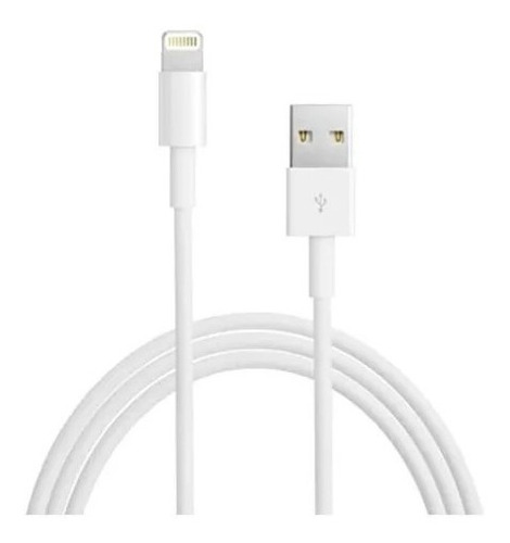 Fio De Carregador iPhone 1 Metro Lighttning Usb-c