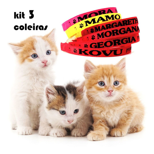 Kit 3 Coleira Gato Personalizada Identificação Nome