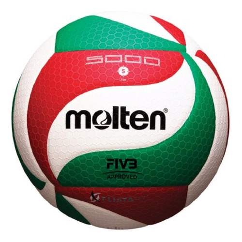 Molten Flistatec Voleibol