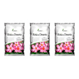 Combo Terra Especial  Para Rosa Do Deserto - 3 Und X 2kg