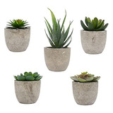 Plantas Suculentas Artificiales, Conjunto De 5 Mini Suc...