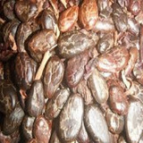 Semilla De Cacao Tostado Y Pelado 500gramos-veracruz