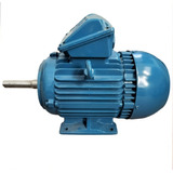 Motor Weg W22 Nema 