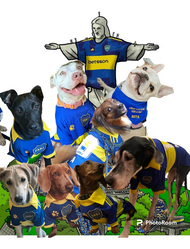 Camiseta Boca Jr Perro Mediano A Medida Estampa Nombre Y Nro