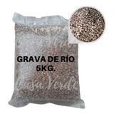 Piedra Grava Río Decorativo 5kg - Plantas Fuentes Terrarios