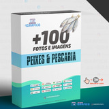 Pack Imagens De Peixes + 100 Hd - Fundo Transparente