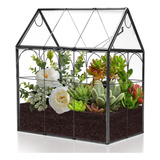 Terrario Geométrico Negro Para Plantas Maceta Highfree