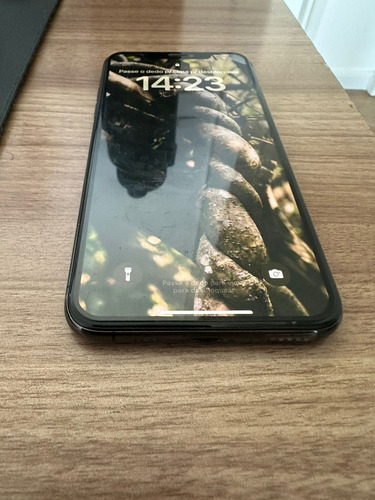 iPhone 11 Pro Max 256 Gb 