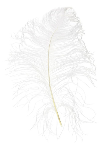 Plumas De Avestruz 38 Cm 1 Pz