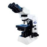 Microscópio Olympus Cx41rf-5