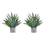 Decoração De Vasos De Plantas Coloridas E Em Vasos De Aloe