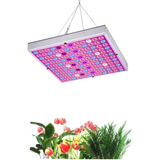 Lámpara Led De Cultivo Para Invernadero Para Plantas 45 W 