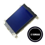 Display Tela Lcd Yamaha Psr S500 S550 S650 S670 Mm6 Mm8 Dgx