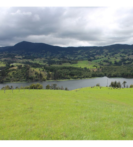 Oportunidad Única: Adquiere Tu Paraíso En El Embalse Del Hato, Lote De Tres Fanegadas En Venta, El Lugar Perfecto Para Tus Sueños, Inversión Y Descanso, Entrada Privada Al Embalse Del Hato. - Imagen 4
