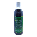 Shampoo Herbárico Anticaída De Chile , Romero, Sábila 600ml