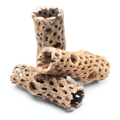 Cholla Wood 15cm Madera Decorativa Para Acuarios Y Reptiles | MercadoLibre