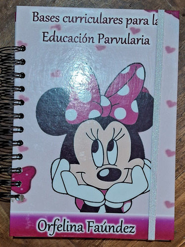 Bases Curriculares Para La Enseñanza 